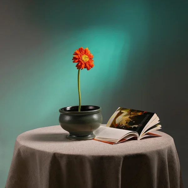 赌博应用捕鱼游戏