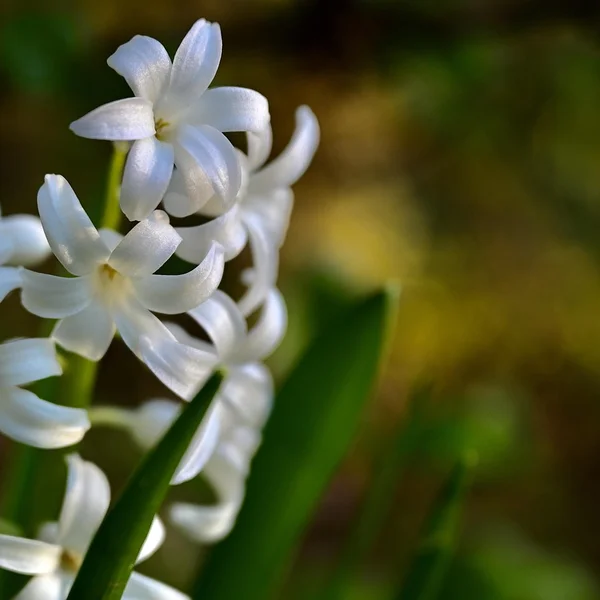 赌博应用棋牌游戏